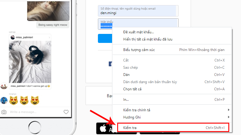 Bôi đen mật khẩu, click chuột phải và chọn Kiểm tra